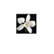 Gumpaste 4 inch White Cattleya Orchid