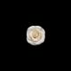 Gumpaste 1.5 inch Ivory Rose 4 pieces