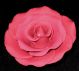 Gumpaste 3 inch Red Rose