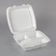 Hinged Styro Section Container 10 pieces