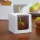 Candy Apple White Box Window 10 pieces