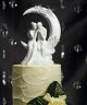 Written in the Stars Wedding Cake Top
