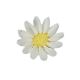 Royal Icing 1.25 inch White Daisy 6 pieces