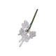 Gumpaste 2 inch Apple Blossom Filler