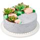 Gumpaste 1.5 to 3.5 inch Green Succulent Flower 3 piece set