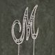 Silver Monogram M Rhinestone Pick