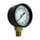 Gauge 100 LB 1/4 MPT BTM