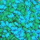 Dinosaur Candy Sprinkles 4 oz