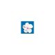 Royal Icing 1.25 inch White Pink Daisies 12 pieces