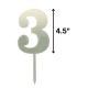 Silver Acrylic Pick Number 3